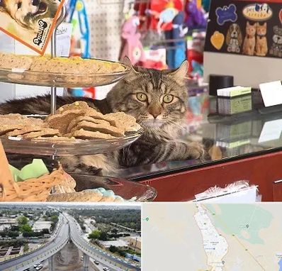 فروشگاه لوازم گربه در اندیمشک