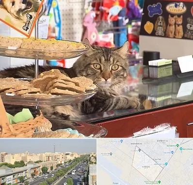 فروشگاه لوازم گربه در کیانمهر کرج