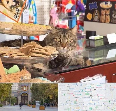 فروشگاه لوازم گربه در منطقه 12 تهران