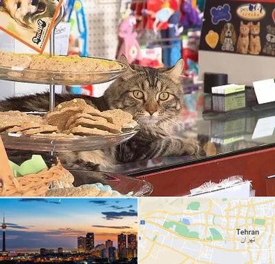 فروشگاه لوازم گربه در غرب تهران 