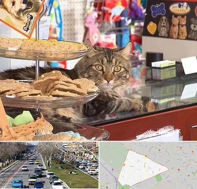 فروشگاه لوازم گربه در احمدآباد مشهد