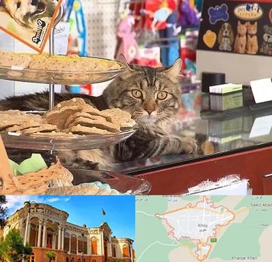 فروشگاه لوازم گربه در خوی