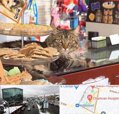 فروشگاه لوازم گربه در اقدسیه 
