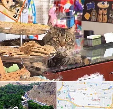 فروشگاه لوازم گربه در کن