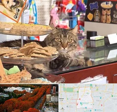 فروشگاه لوازم گربه در منطقه 6 تهران