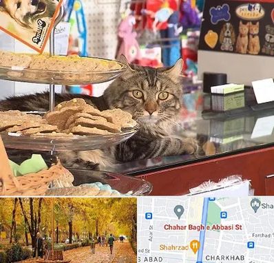 فروشگاه لوازم گربه در چهارباغ اصفهان
