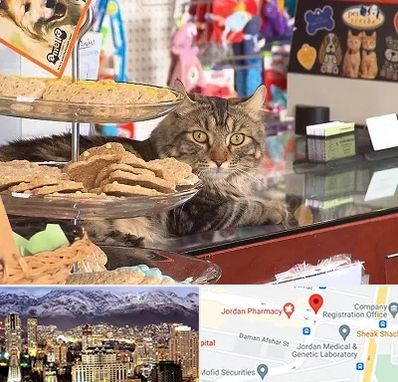 فروشگاه لوازم گربه در جردن