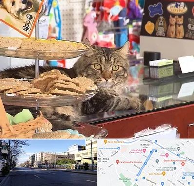 فروشگاه لوازم گربه در خیابان ملاصدرا شیراز