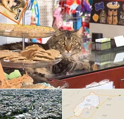 فروشگاه لوازم گربه در شاهرود