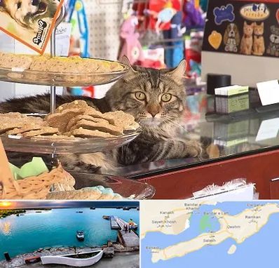 فروشگاه لوازم گربه در قشم