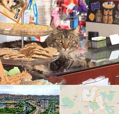 فروشگاه لوازم گربه در شهریار