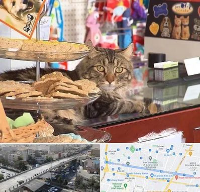 فروشگاه لوازم گربه در فرجام