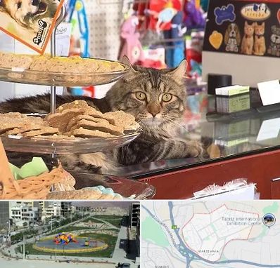 فروشگاه لوازم گربه در مرزداران تبریز