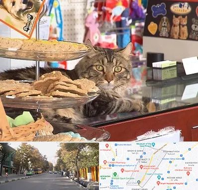 فروشگاه لوازم گربه در شریعتی