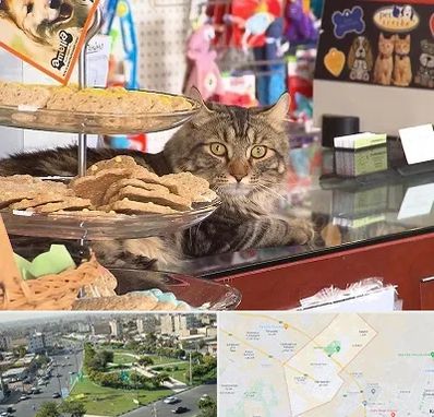 فروشگاه لوازم گربه در کمال شهر کرج