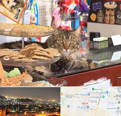 فروشگاه لوازم گربه در مارلیک کرج