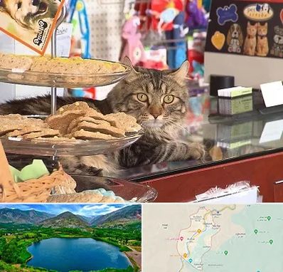 فروشگاه لوازم گربه در رودبار