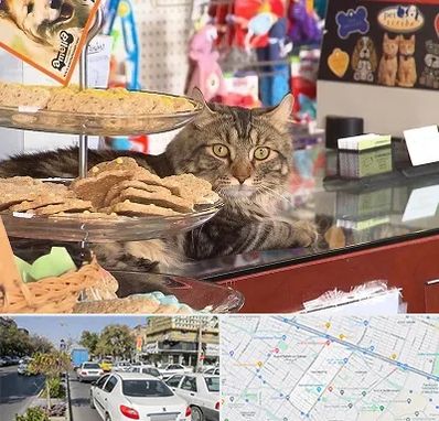 فروشگاه لوازم گربه در مفتح مشهد