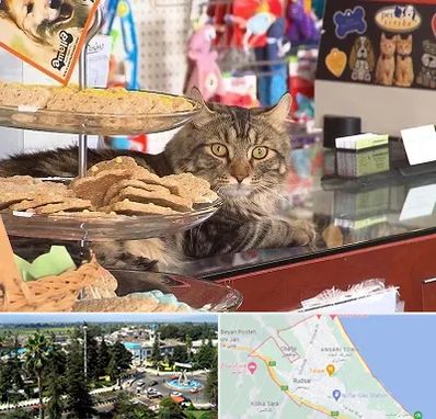 فروشگاه لوازم گربه در رودسر