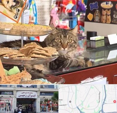 فروشگاه لوازم گربه در ایران زمین