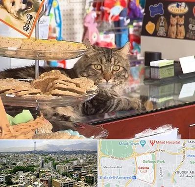 فروشگاه لوازم گربه در گیشا