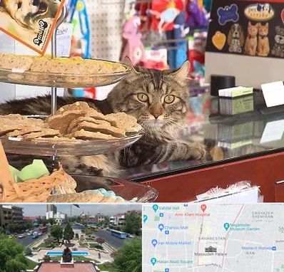 فروشگاه لوازم گربه در بهارستان 