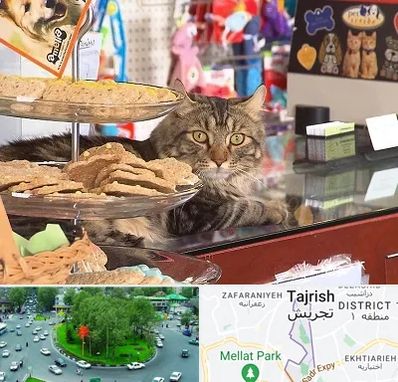 فروشگاه لوازم گربه در تجریش 