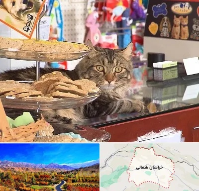 فروشگاه لوازم گربه در خراسان شمالی