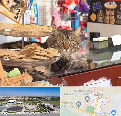 فروشگاه لوازم گربه در ملارد