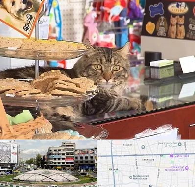 فروشگاه لوازم گربه در مرکز تهران