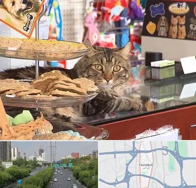 فروشگاه لوازم گربه در توانیر