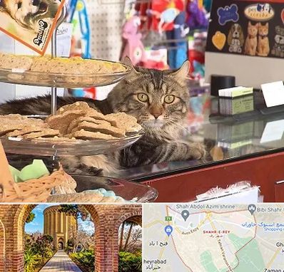 فروشگاه لوازم گربه در شهر ری