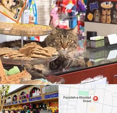 فروشگاه لوازم گربه در 15 خرداد