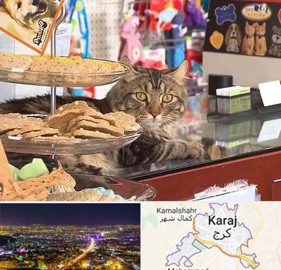 فروشگاه لوازم گربه در کرج