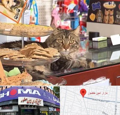 فروشگاه لوازم گربه در امین حضور