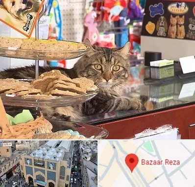 فروشگاه لوازم گربه در بازار رضا مشهد