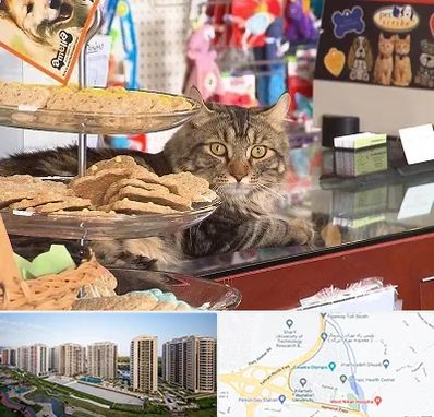 فروشگاه لوازم گربه در المپیک