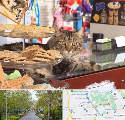 فروشگاه لوازم گربه در قدوسی غربی شیراز