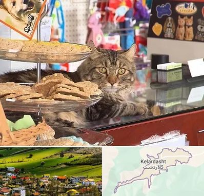 فروشگاه لوازم گربه در کلاردشت