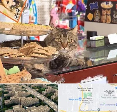 فروشگاه لوازم گربه در اکباتان 