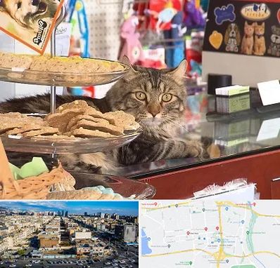 فروشگاه لوازم گربه در شهرک راه آهن