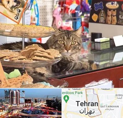 فروشگاه لوازم گربه در صادقیه 