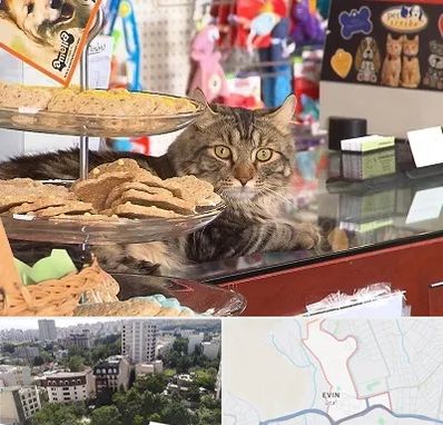 فروشگاه لوازم گربه در اوین