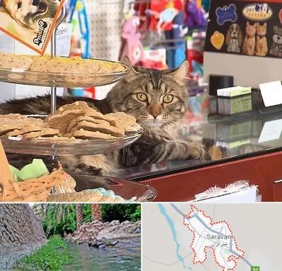 فروشگاه لوازم گربه در سراوان