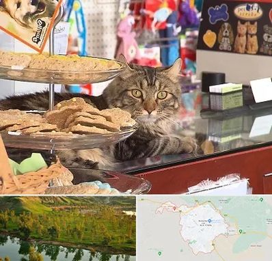 فروشگاه لوازم گربه در بهبهان