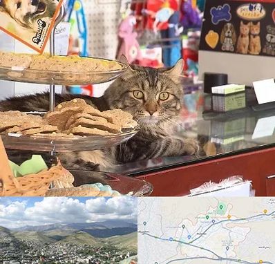 فروشگاه لوازم گربه در رودهن