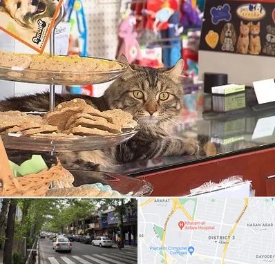 فروشگاه لوازم گربه در ظفر 