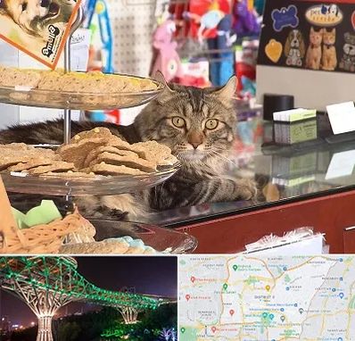 فروشگاه لوازم گربه در منطقه 3 تهران