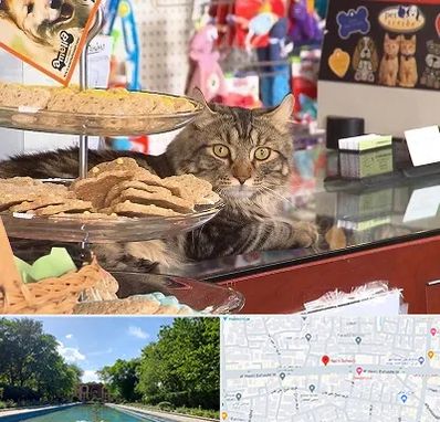 فروشگاه لوازم گربه در هشت بهشت اصفهان