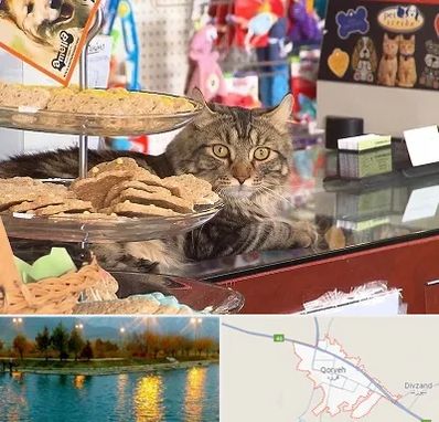 فروشگاه لوازم گربه در قروه